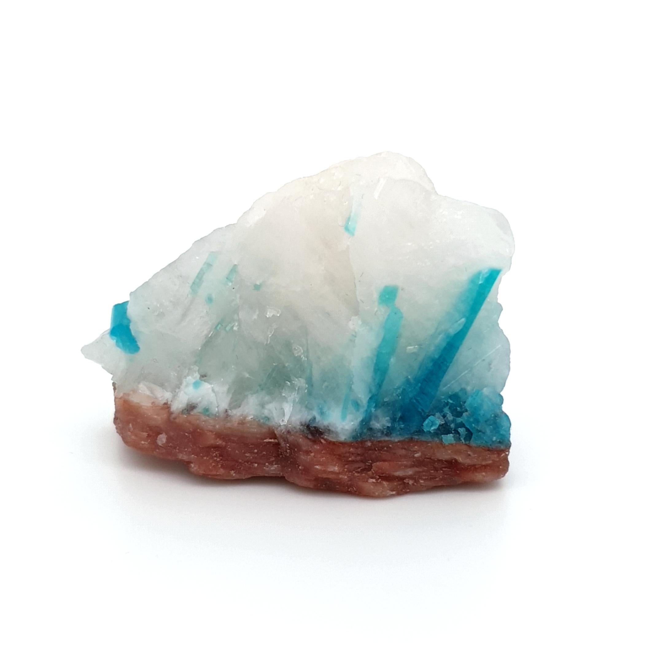 Paraiba Tourmaline is one of the most desirable varieties of the coveted mineral due to its unique and almost indescribable, amazing blue color.
These Specimen exhibits that incredible hue in the form of small crystals embedded in a matrix of