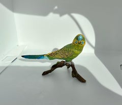 Parakeet Bird on Branch Bergman Austrian Vienna Bronze Lovebird Cold Painted