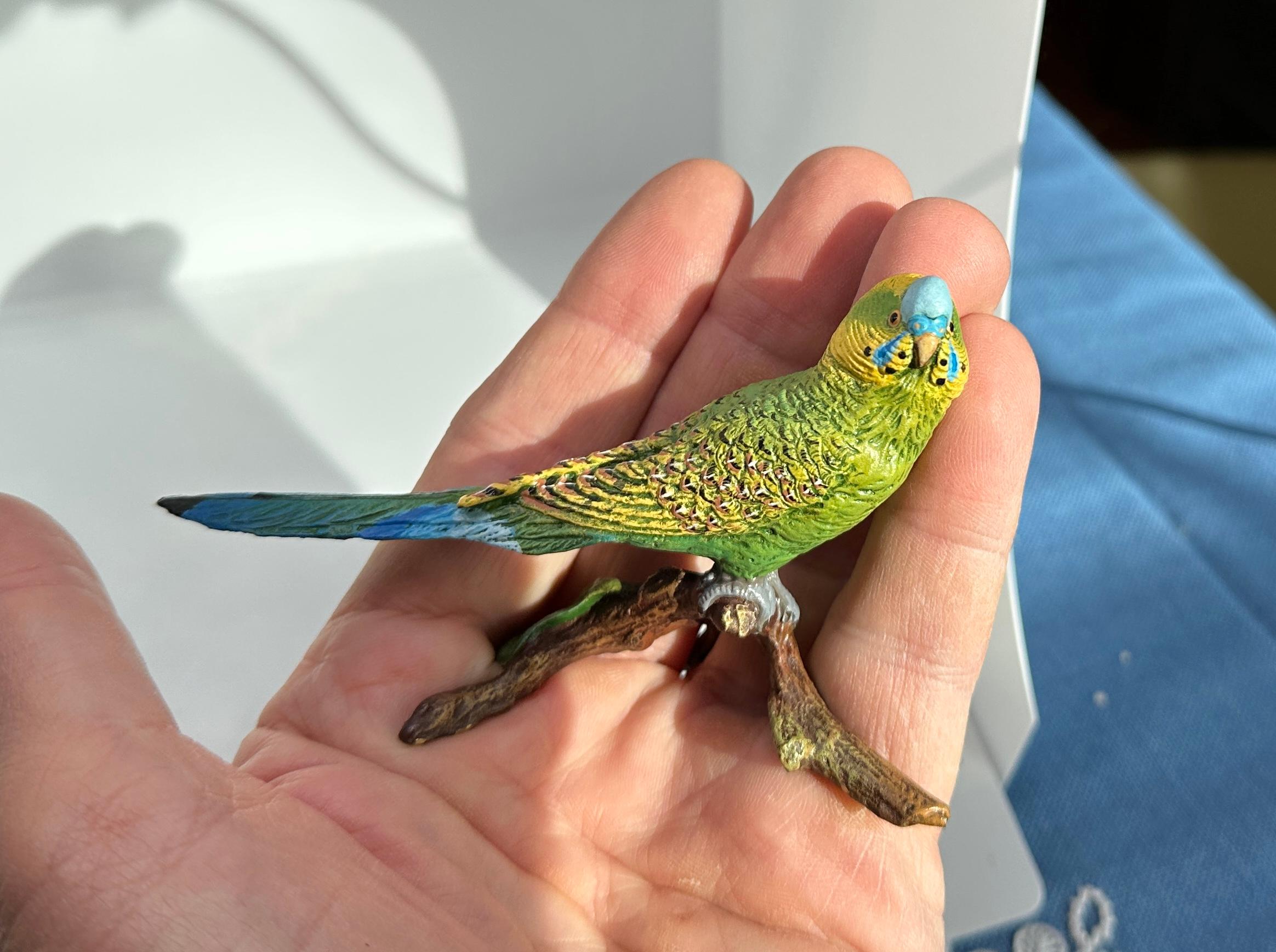Gilded Age Parakeet Bird on Branch Bergman Austrian Vienna Bronze Lovebird Cold Painted For Sale