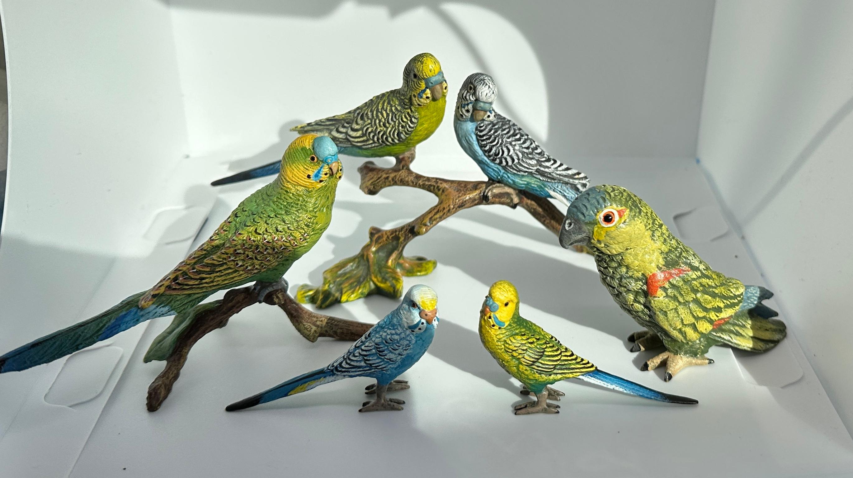 Women's or Men's Parakeet Bird on Branch Bergman Austrian Vienna Bronze Lovebird Cold Painted For Sale