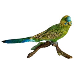 Periquito Pájaro en Rama Bergman Austriaco Vienna Bronze Agapornis Pintado en Frío