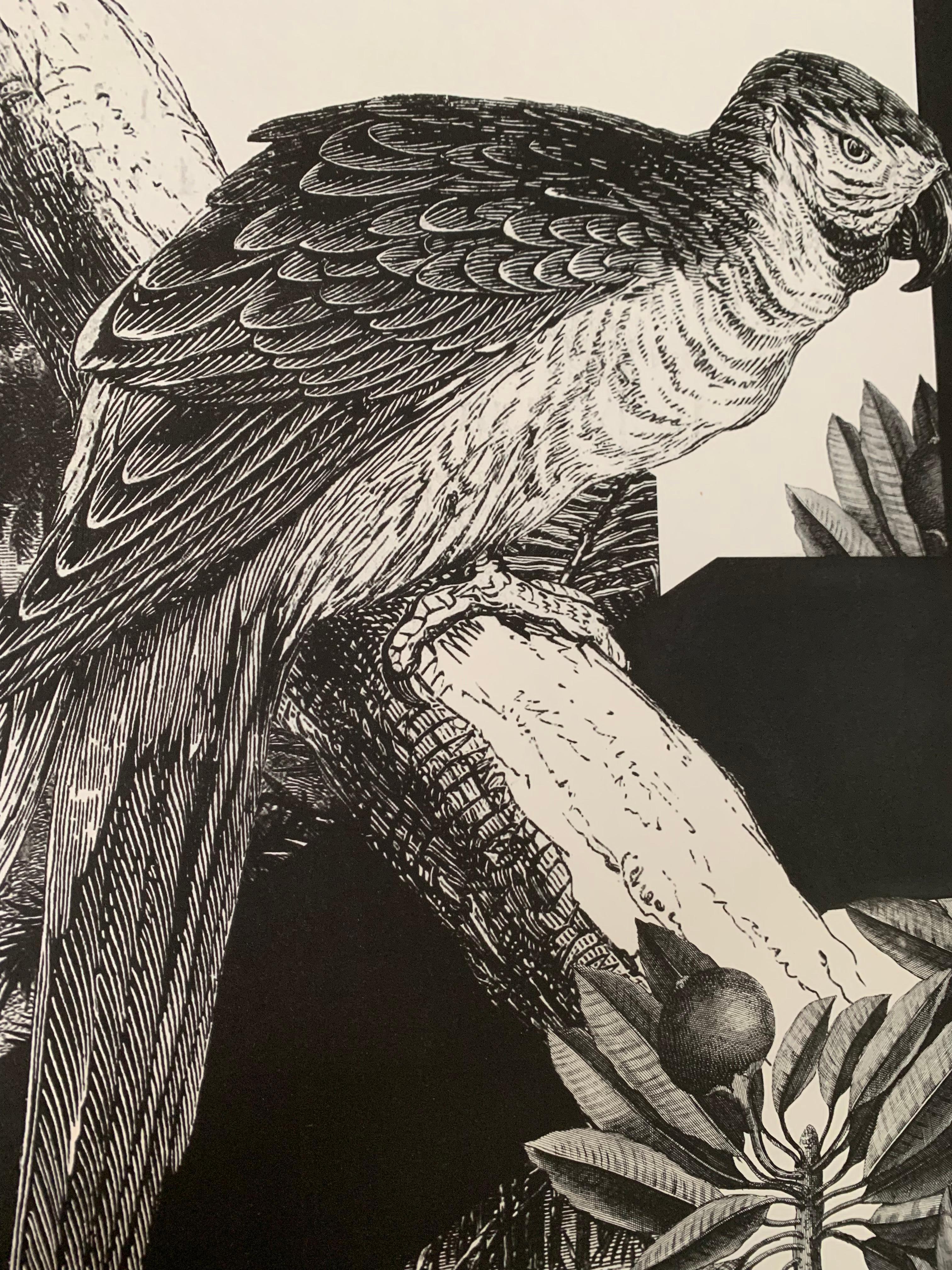 De l'édition limitée de la série ''Black & Wild''. Image en noir et blanc de la faune et de la flore tropicales, imprimée à la main à l'aide d'une imprimante  une antiquité  appuyer sur un  papier à gravure 100% coton. Des rhinocéros panthères et