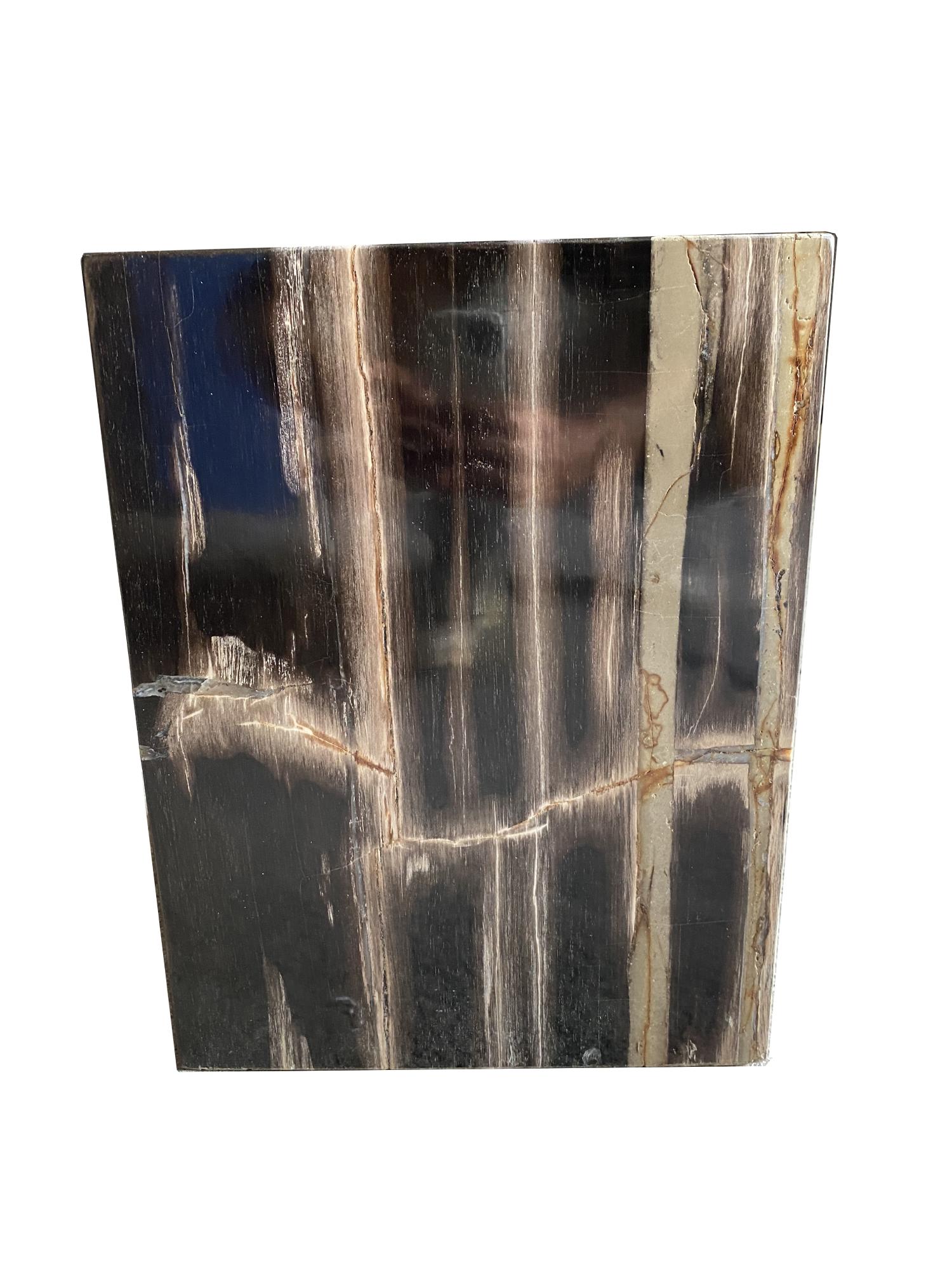 Parallelepiped wood by DeepWood
One of a Kind
Dimensions: L 30 W 30 H 40 cm
Materials: Petrified wood fully polished, steel legs
Wight: 70 kg

Each DeepWood piece is expertly crafted from a rarefied specimen of petrified wood and contains 25