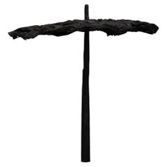Parasol Edition 25