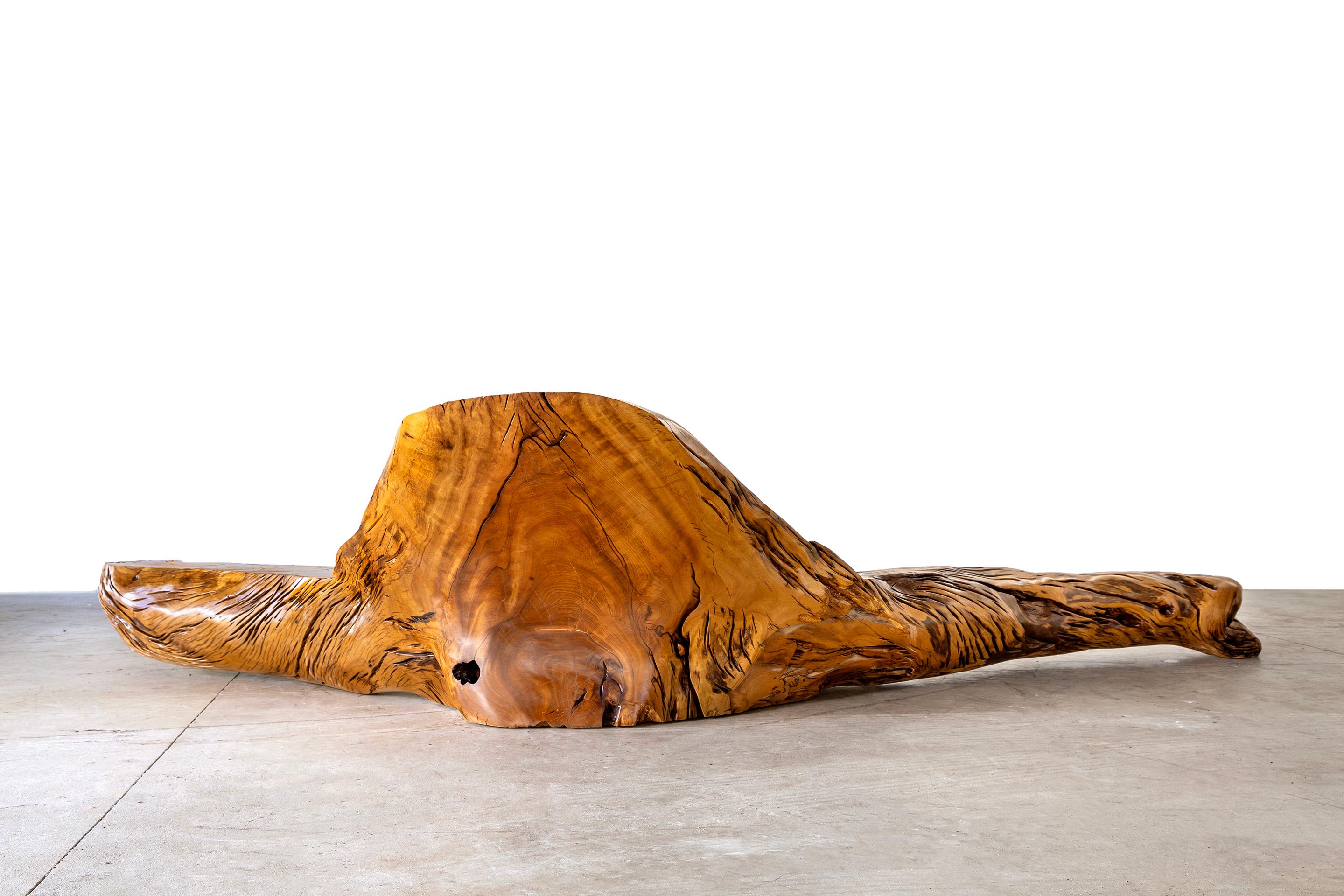 Panchina Paratinga in Wood di Hugo França In condizioni Nuovo in vendita a Geneve, CH
