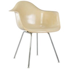 Parchment Herman Miller Eames DAX Fiberglass Dining Arm Shell Chair