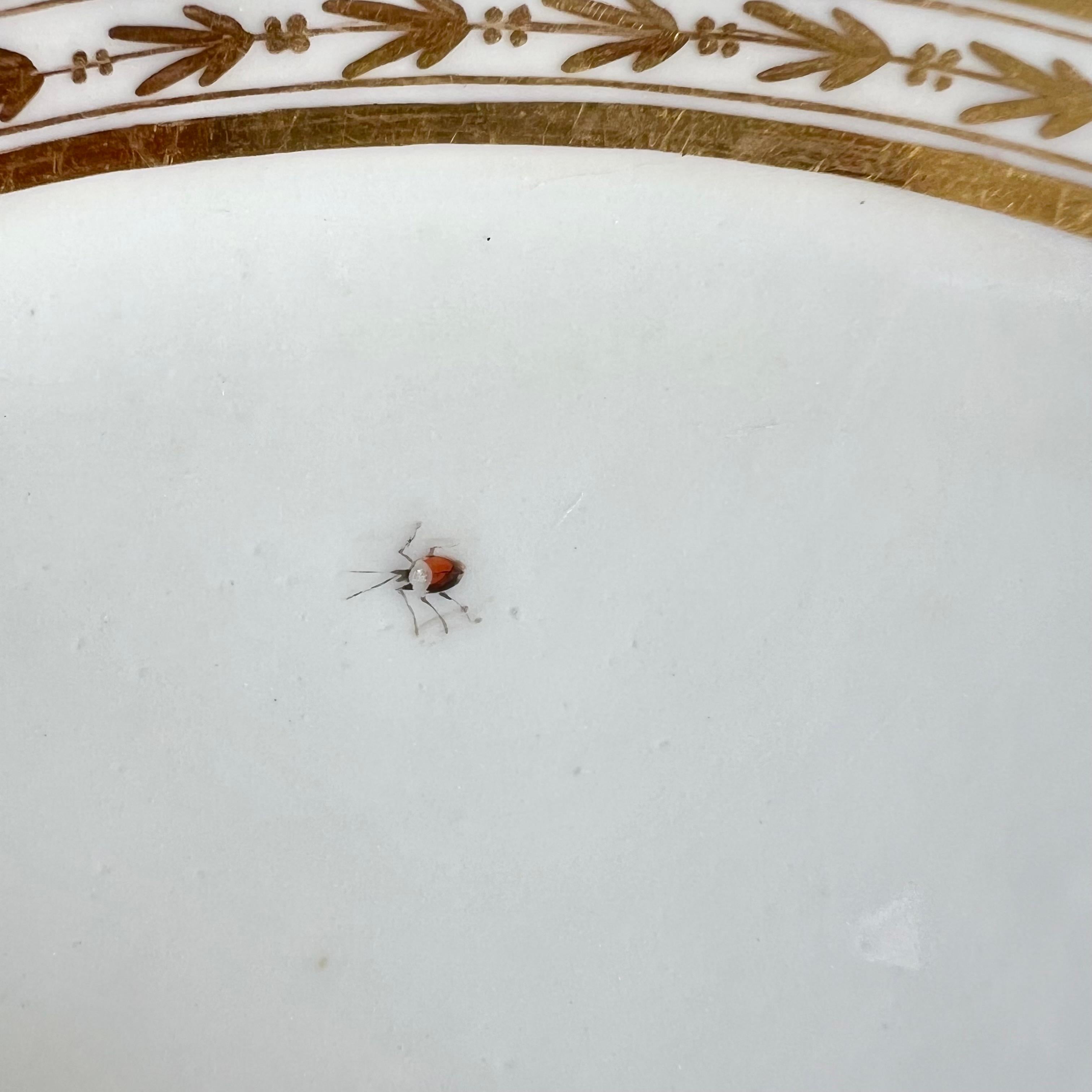 Paris Clignancourt Plate, Black, Pink Roses, Butterflies and Bugs, 1780-1790 For Sale 4