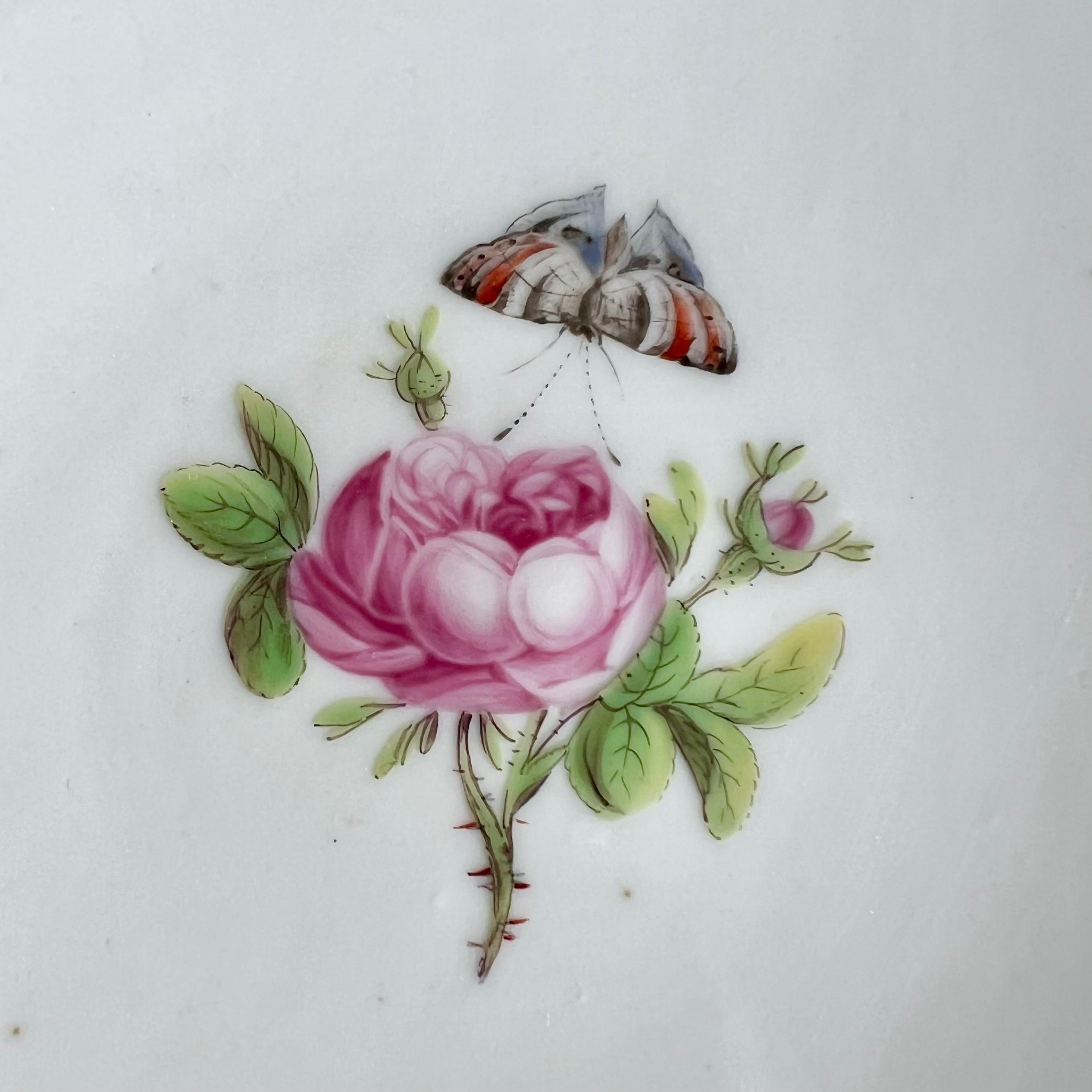 English Paris Clignancourt Plate, Black, Pink Roses, Butterflies and Bugs, 1780-1790 For Sale