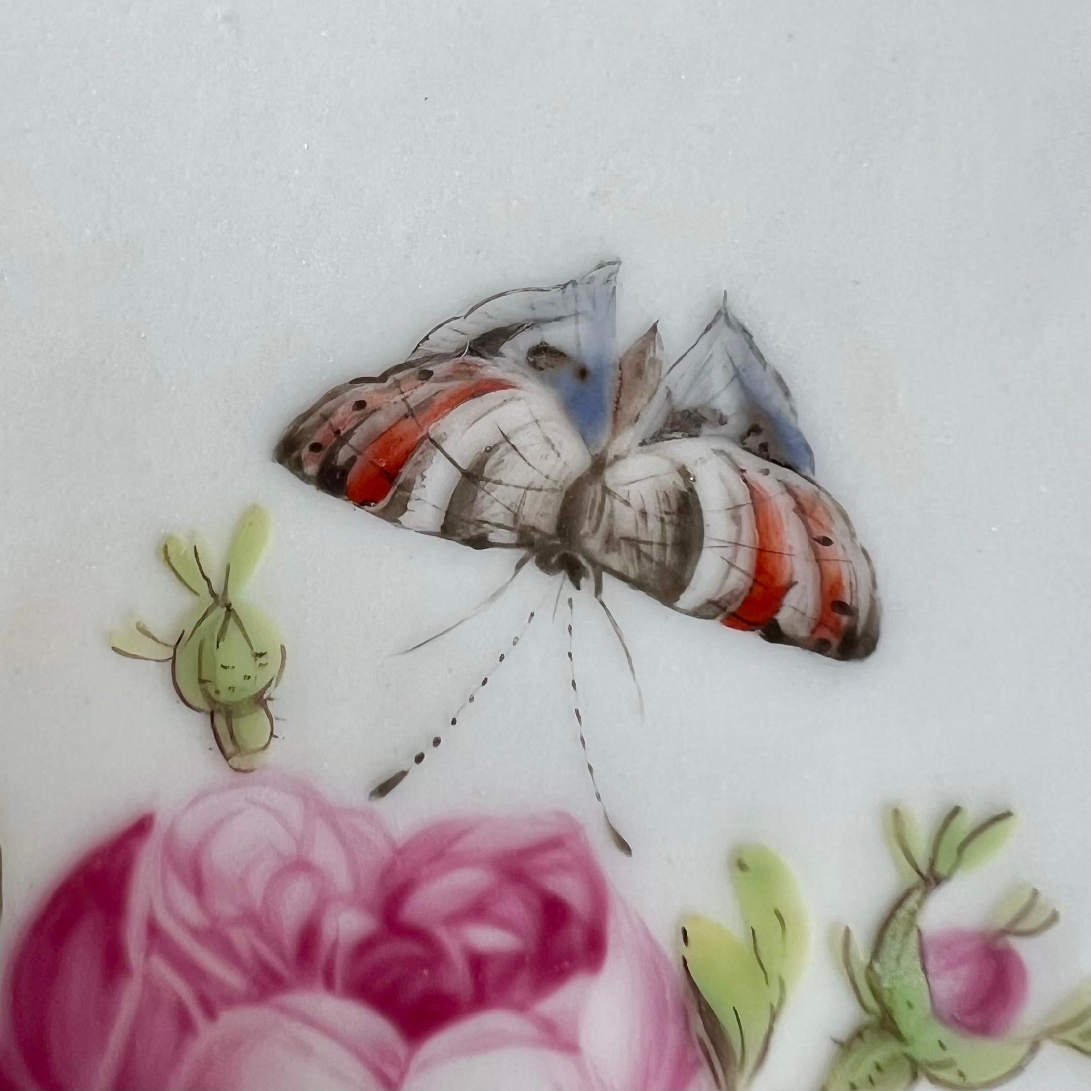 Paris Clignancourt Plate, Black, Pink Roses, Butterflies and Bugs, 1780-1790 In Good Condition For Sale In London, GB