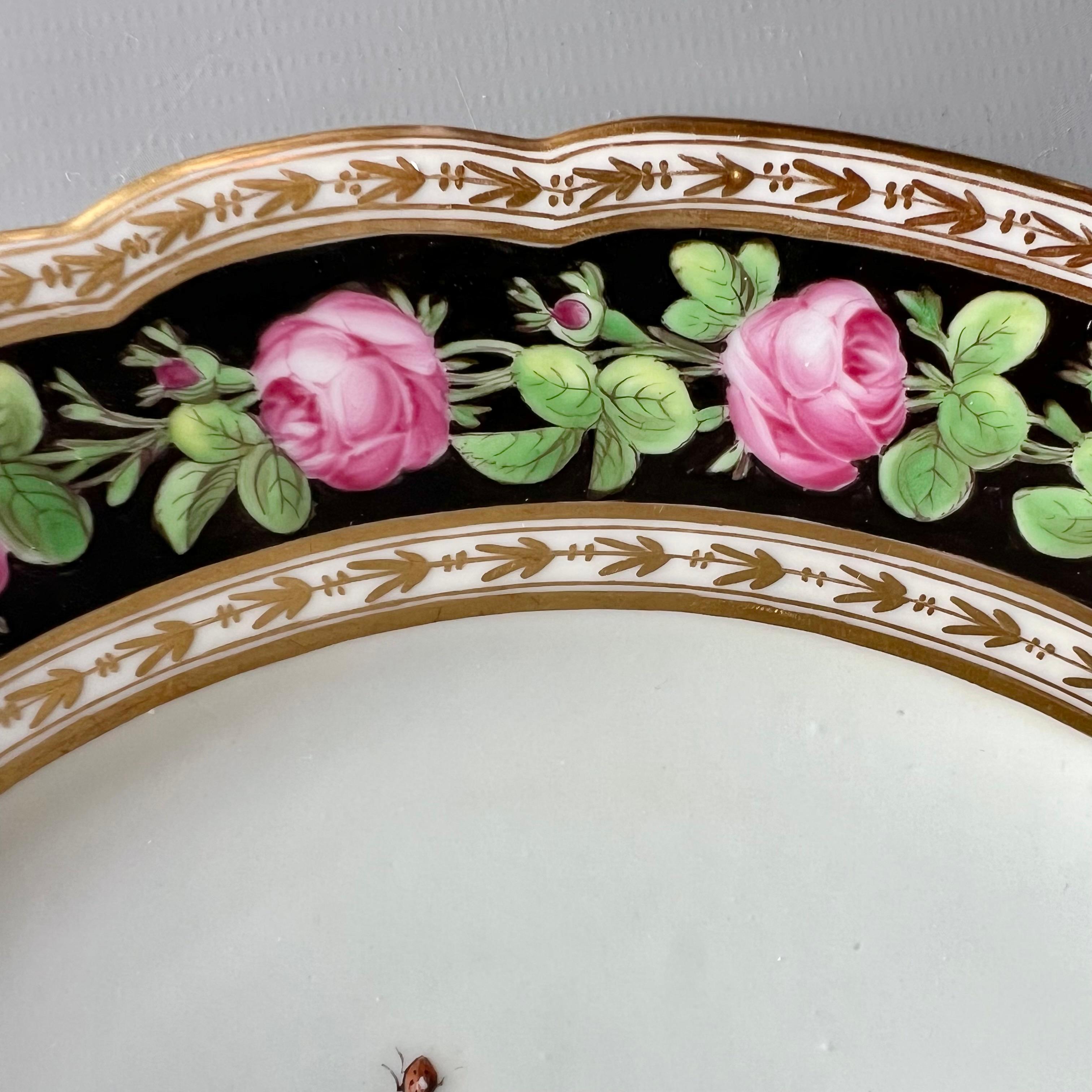 Late 18th Century Paris Clignancourt Plate, Black, Pink Roses, Butterflies and Bugs, 1780-1790 For Sale