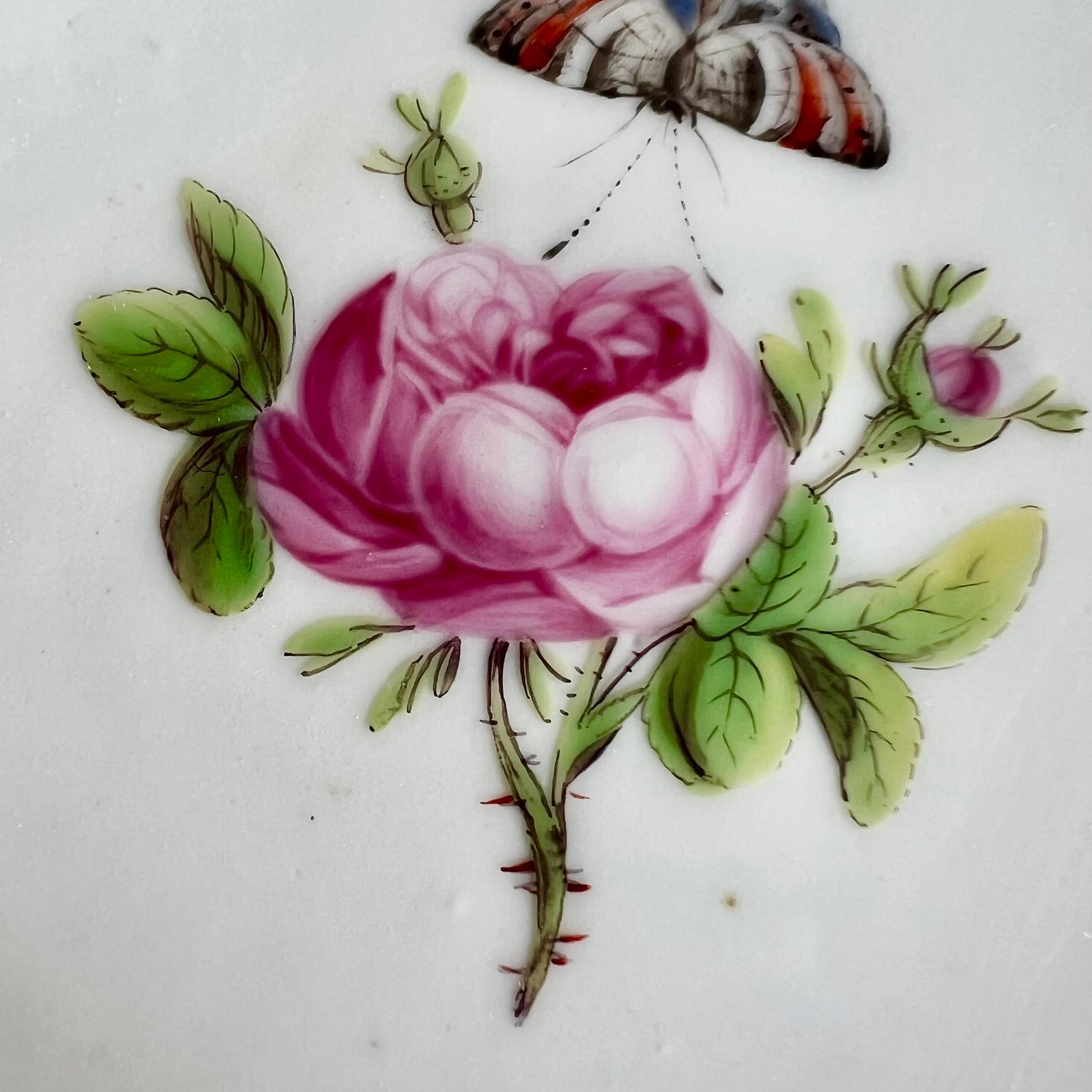 Porcelain Paris Clignancourt Plate, Black, Pink Roses, Butterflies and Bugs, 1780-1790 For Sale