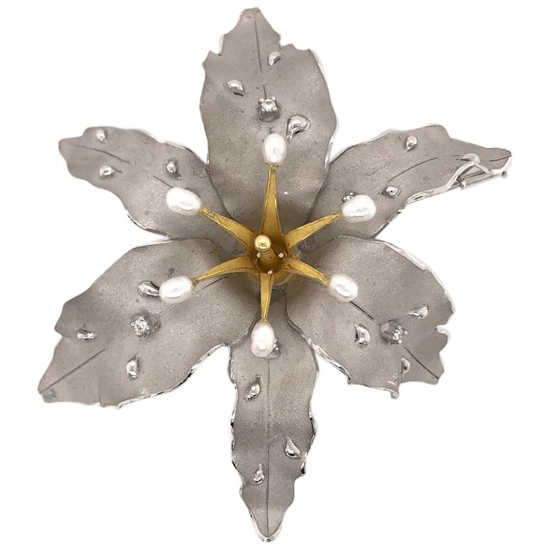 Paris Craft House Diamond Brooch in Platinum For Sale