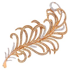 White Diamond Brooches