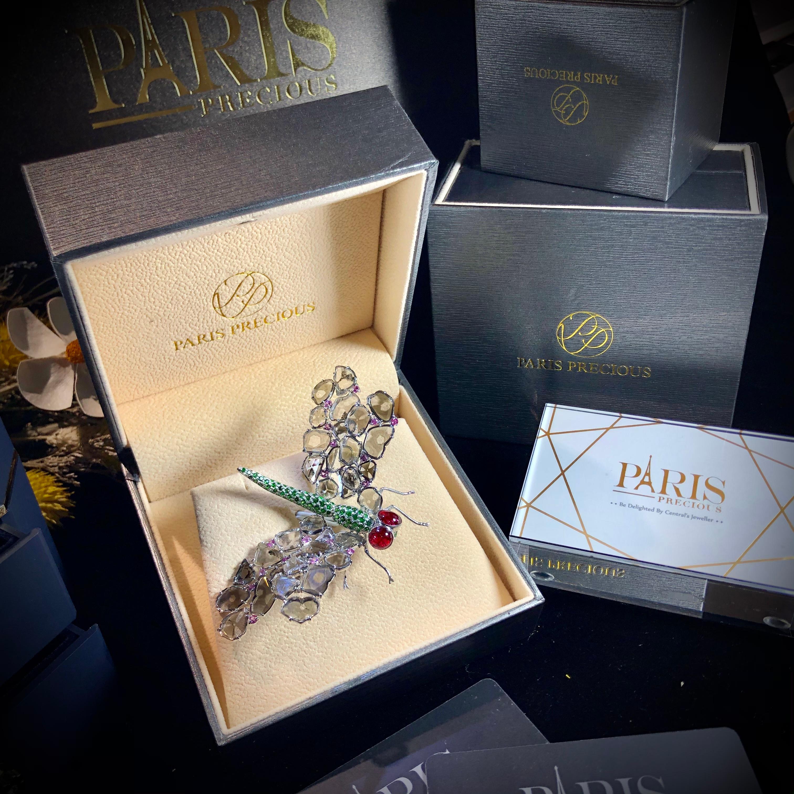 Women's Paris Craft House Diamond Sapphire Garnet Dragonfly Brooch in 18 Karat Gold For Sale