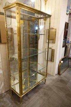 Parisian 1900s Muller R&P Domange Brass Vitrine Display Unit
