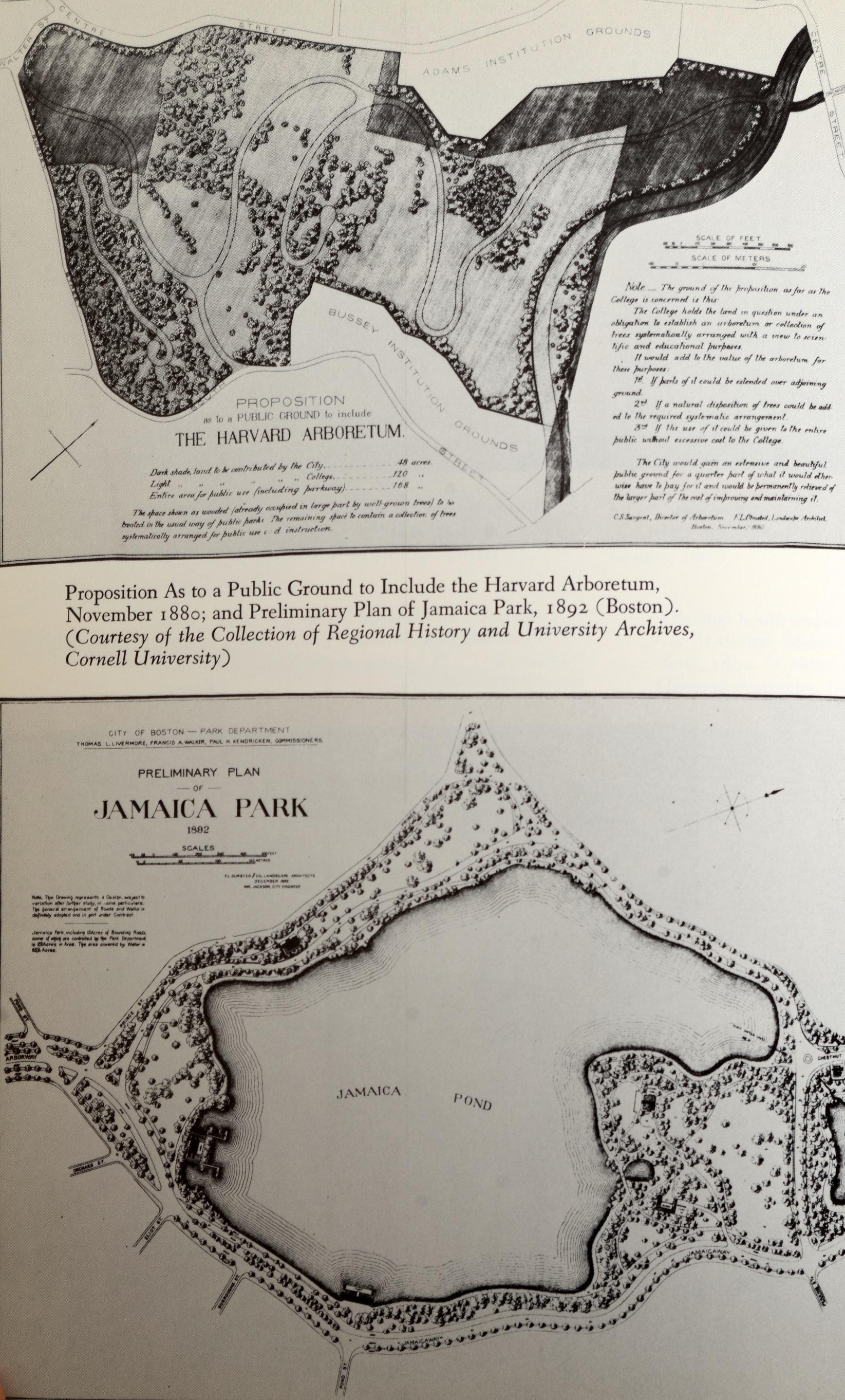 American Park Maker Life of Frederick Law Olmsted by Elizabeth Stevenson, 1st Printing