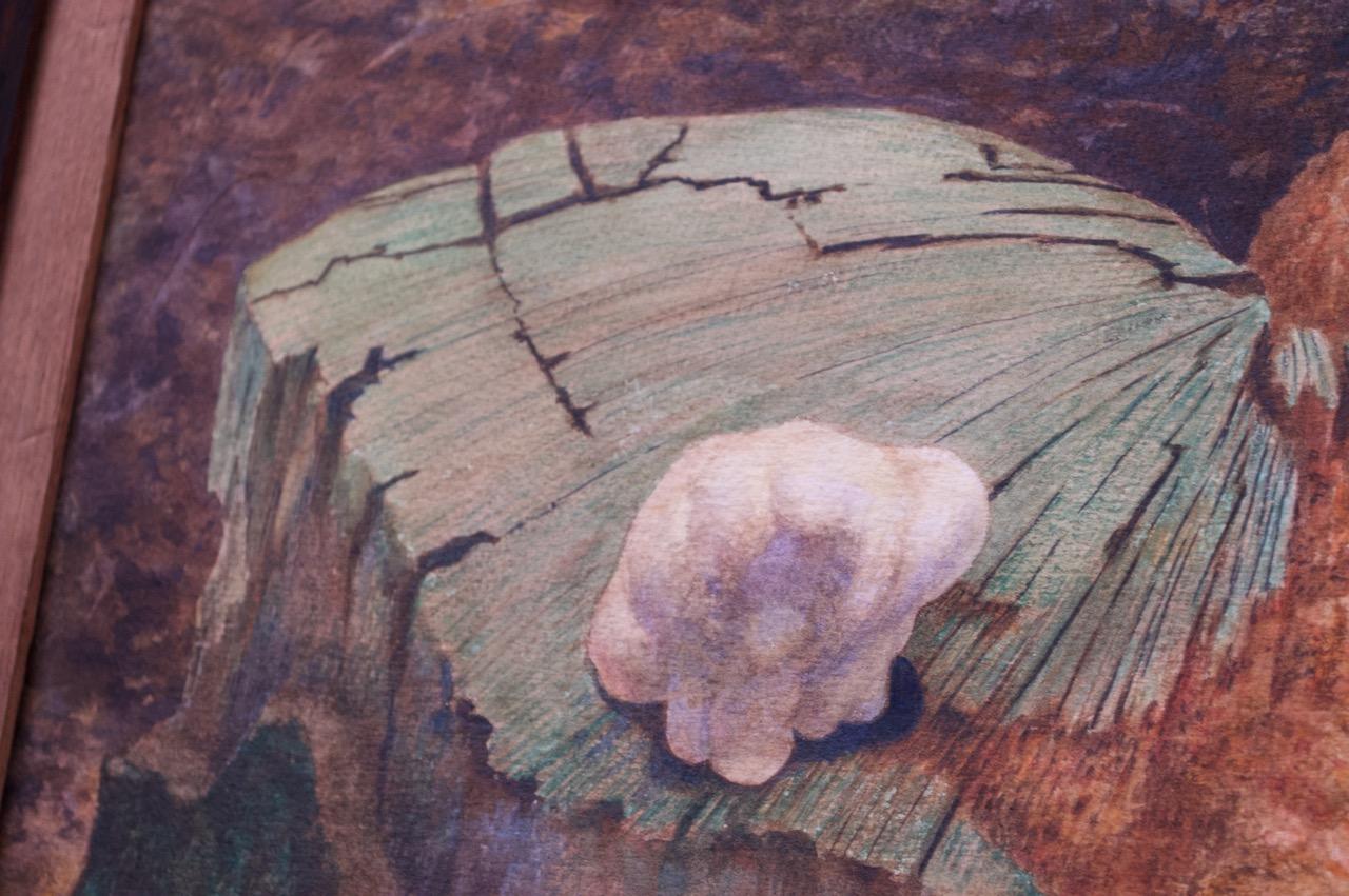 Parker Panttila Nature Study, Aquarell im Zustand „Gut“ im Angebot in Brooklyn, NY