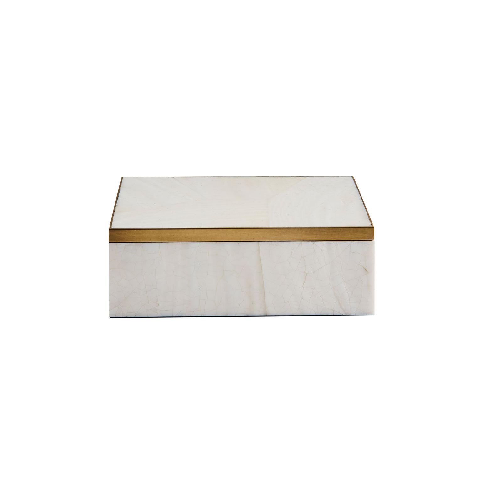Greg Natale Egon Box in White Shell and Brass