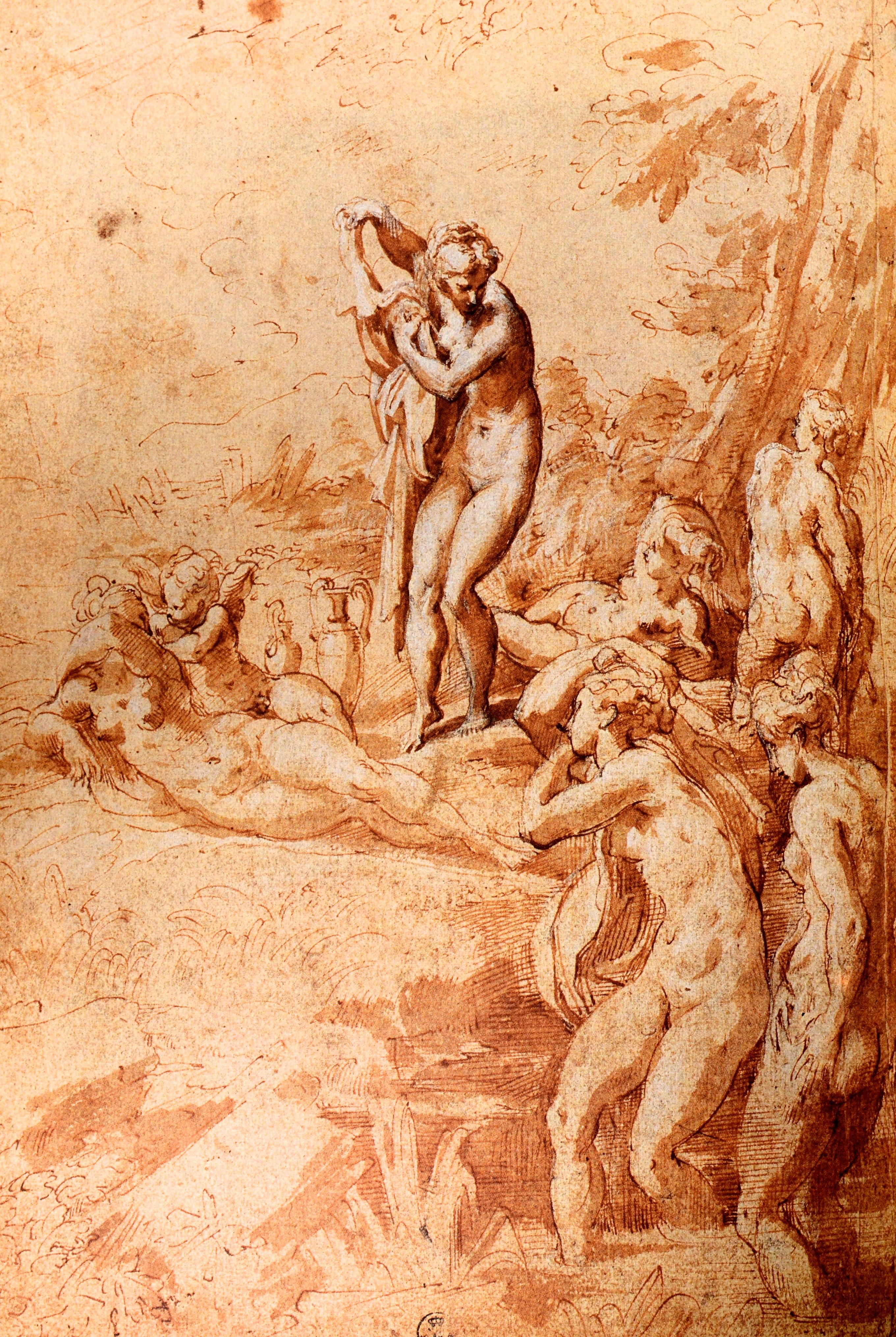Paper Parmigianino: The Drawings a Archives of Pre 1800 a Monograph of His Work 1st Ed For Sale