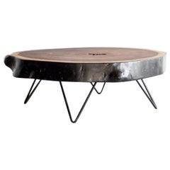 Parota Live Edge Coffee Table by Croft House