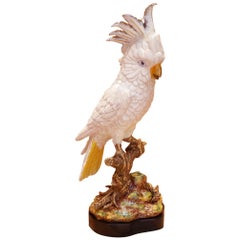 parrot sculpture Parrot and Porcelain Sculpture