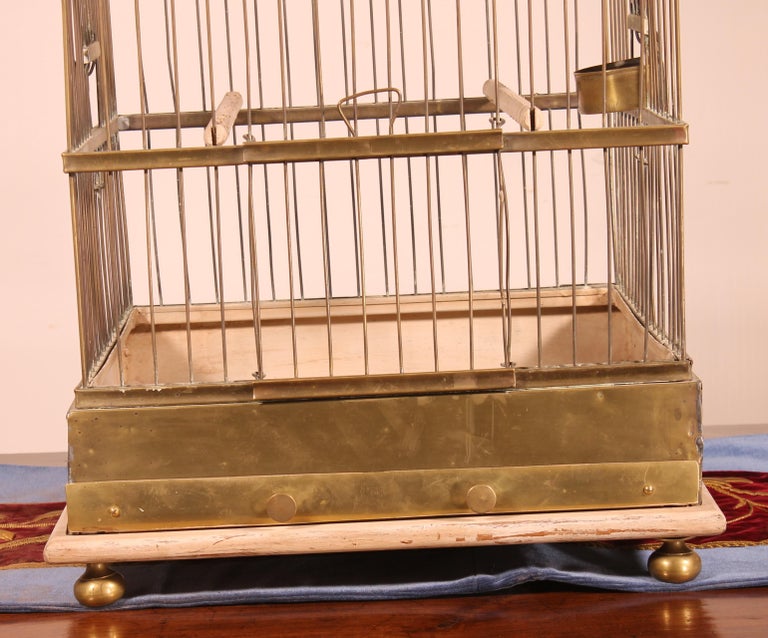 Parrot Cage in Brass and Wood from 19th Century, France at 1stDibs