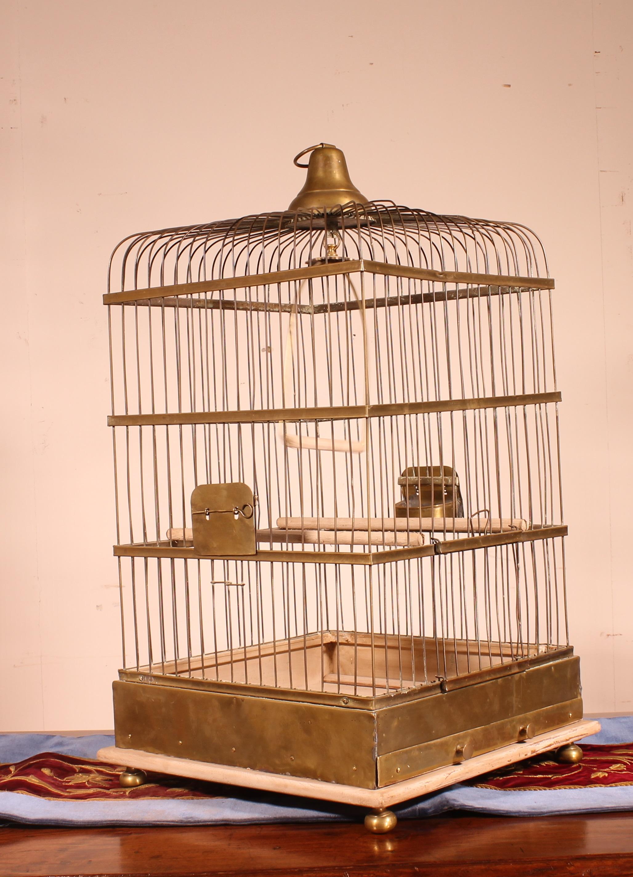brass parrot cage