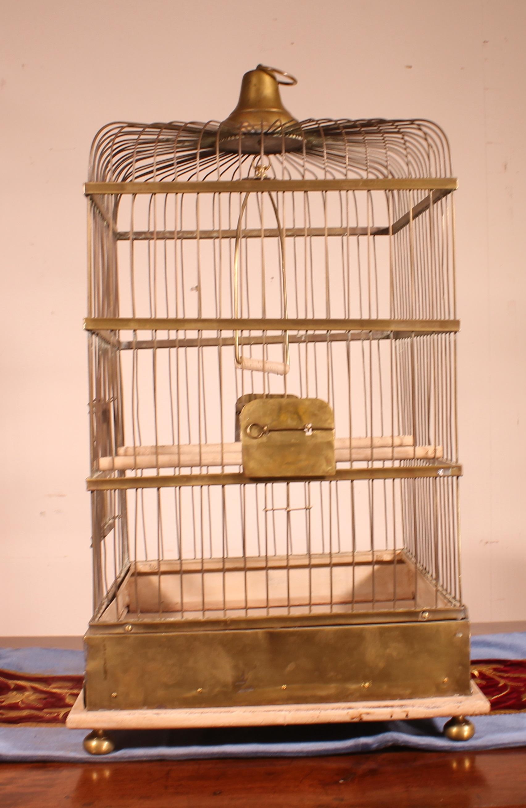 Parrot Cage in Brass and Wood from 19th Century, France 1