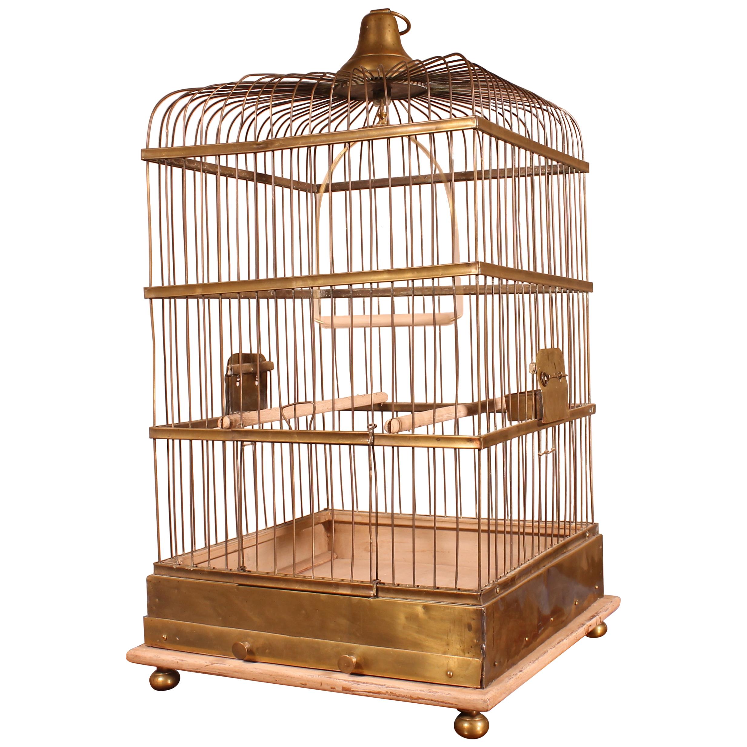 Parrot Cage in Brass and Wood from 19th Century, France