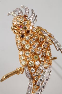 Parrot Diamonds Brooch