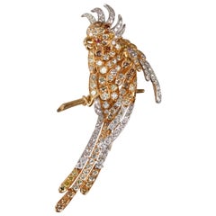 Parrot Diamonds Brooch