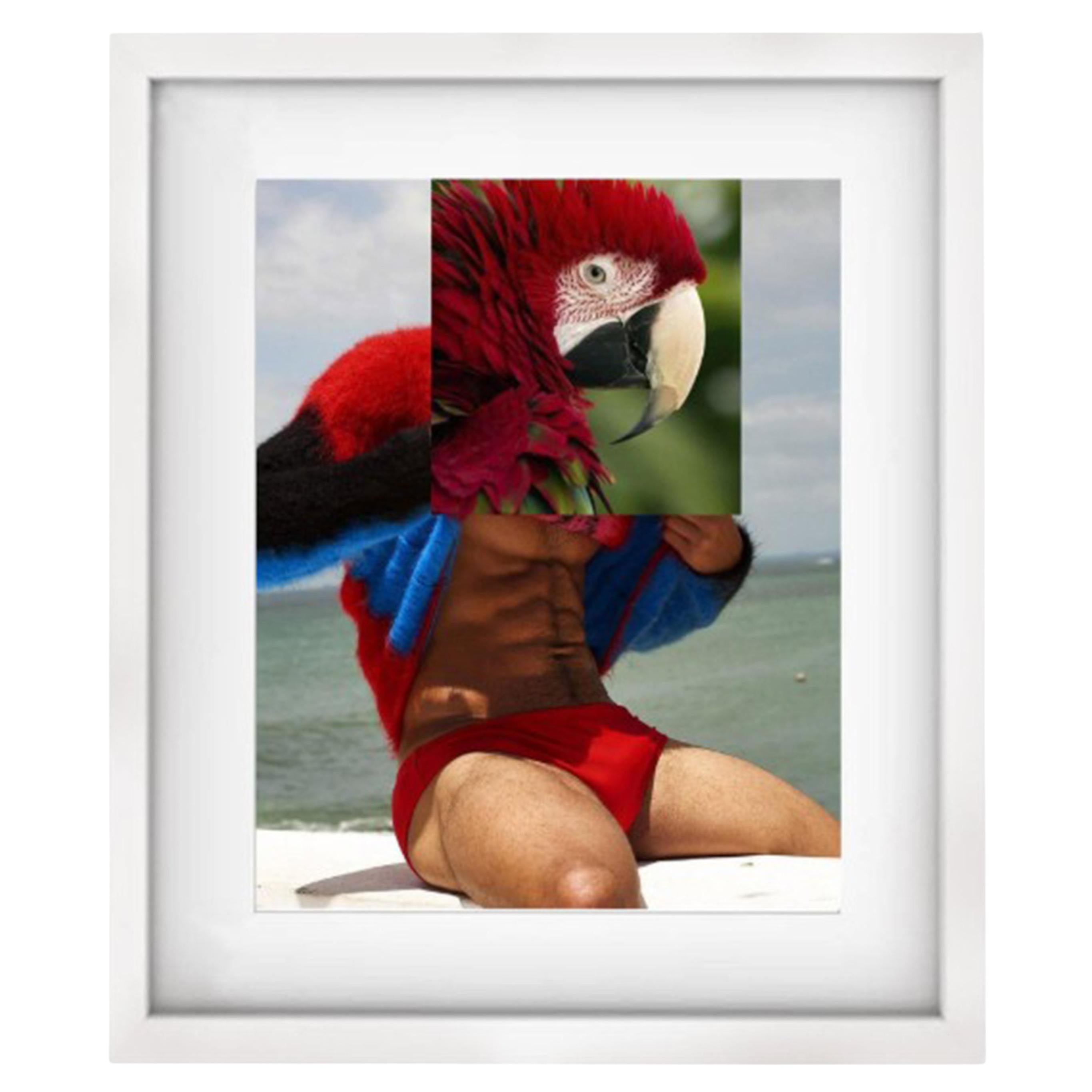 Parrot + Muscular Man Naro Pinosa, "Untitled" Digital Collage, Spain, 2019