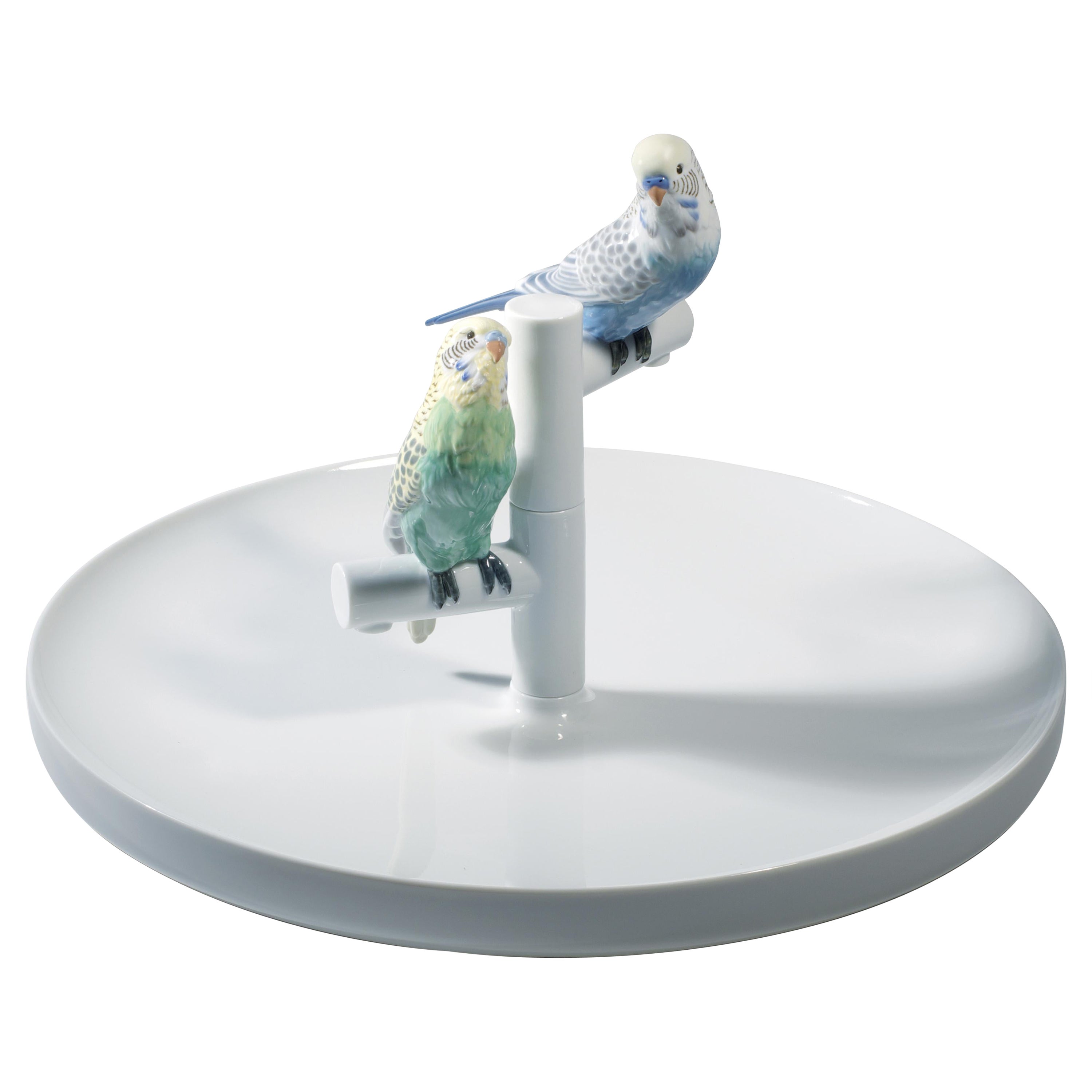 Piastra Parrot Romance