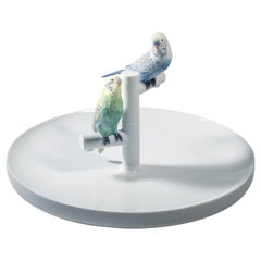 Piastra Parrot Romance