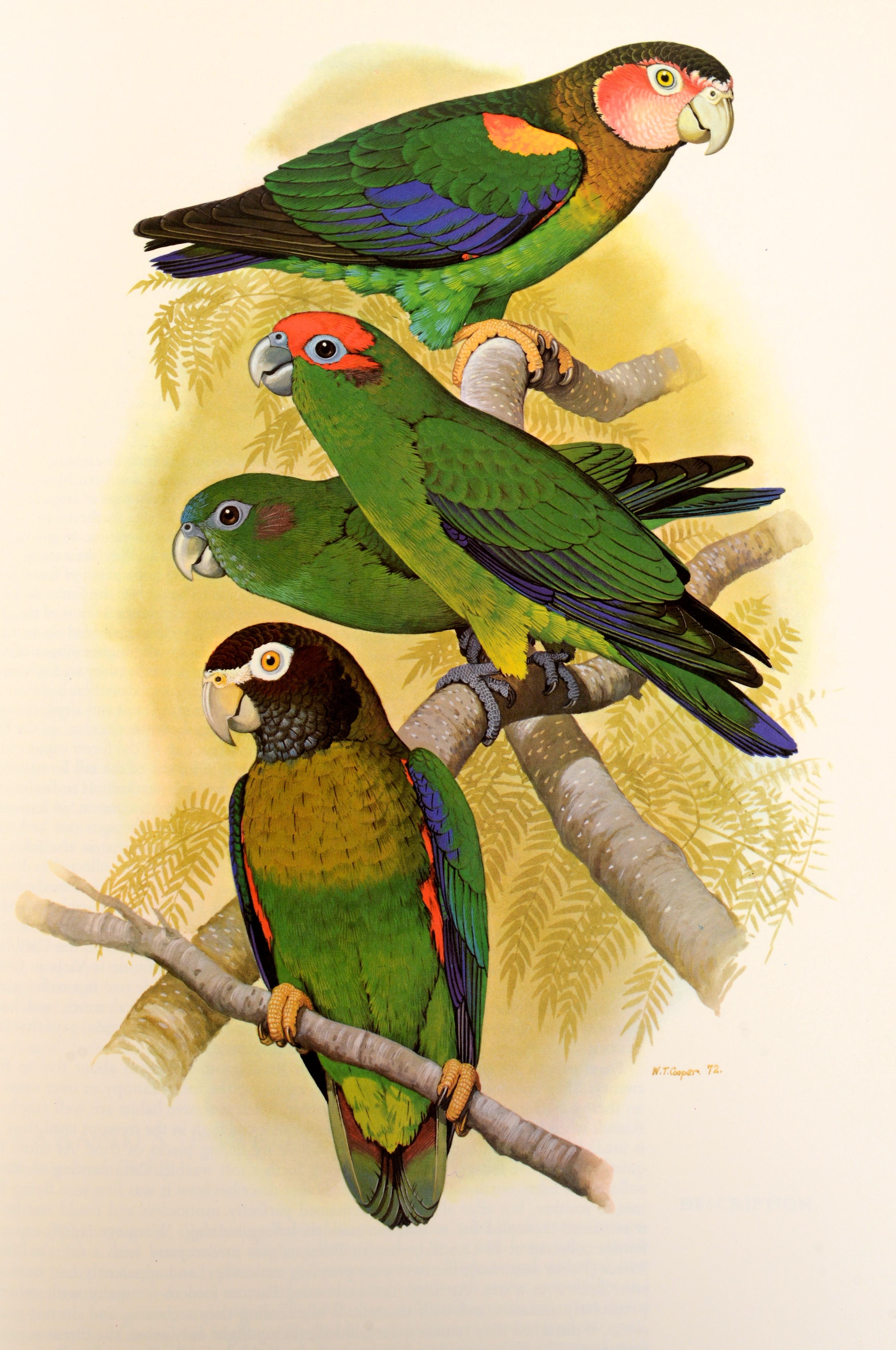Parrots of the World by Joseph Forshaw, 1st Ed For Sale 1