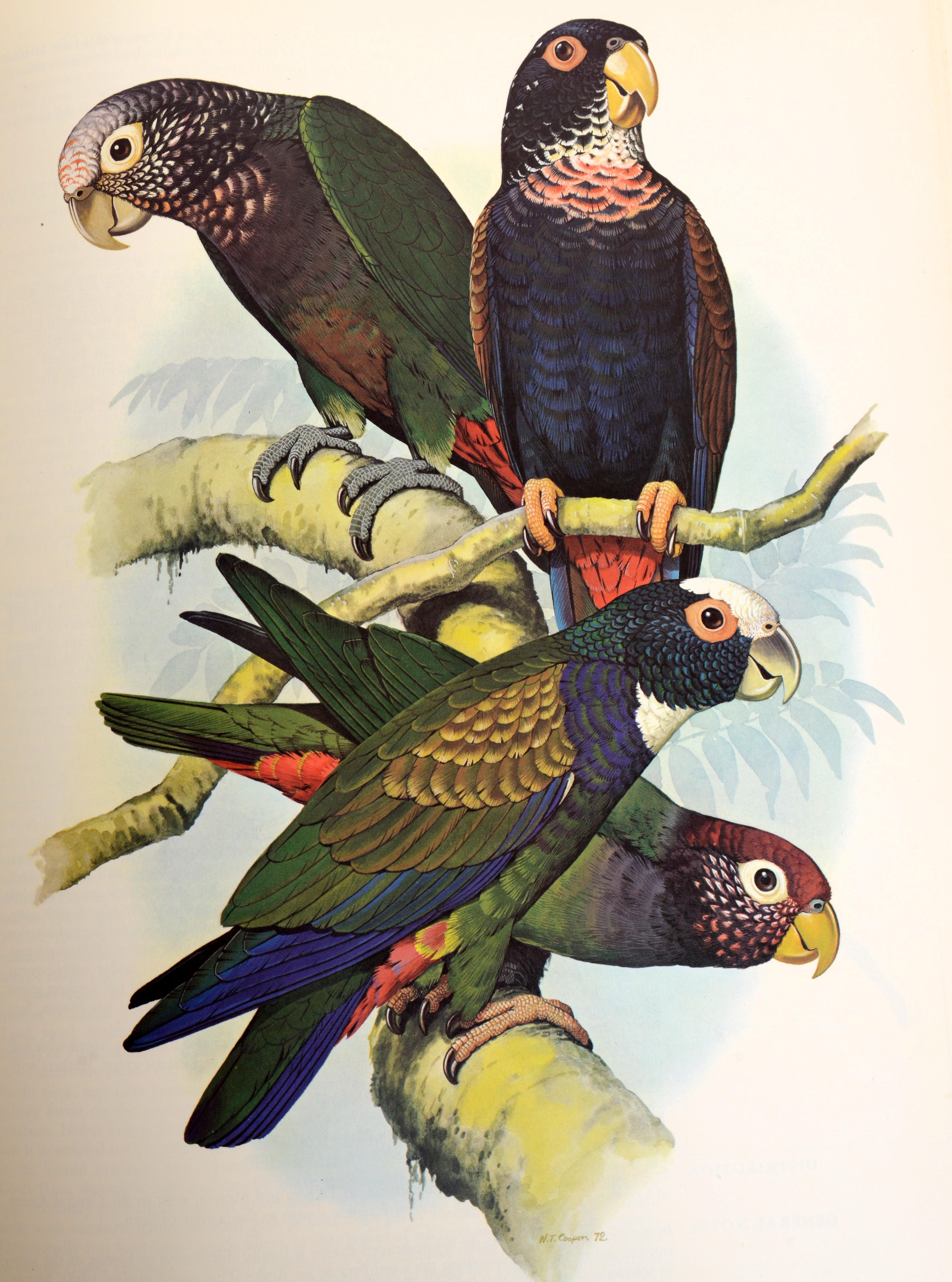 Perroquets du monde de Joseph Forshaw, 1ère édition en vente 5