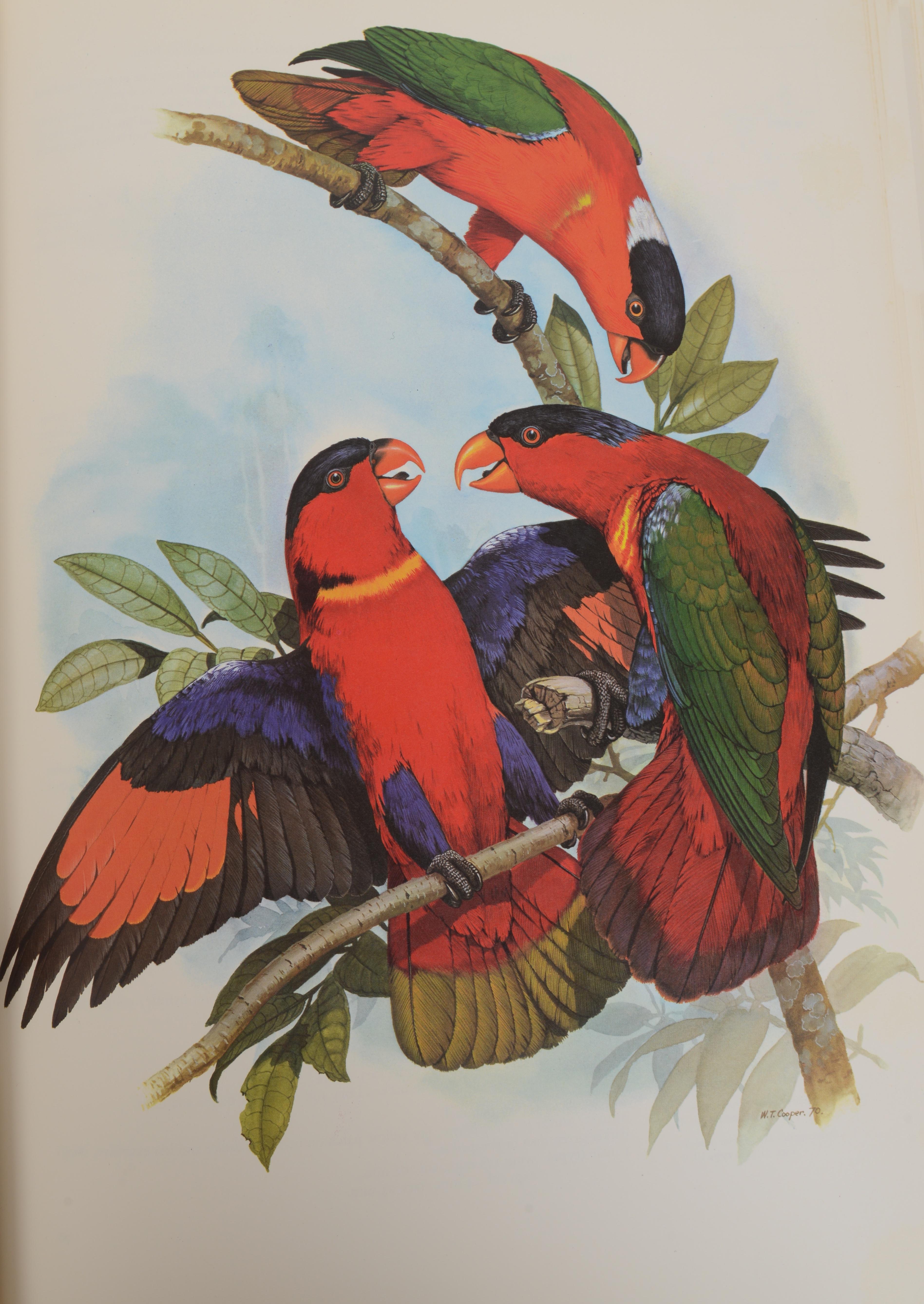 Perroquets du monde de Joseph Forshaw, 1ère édition en vente 12