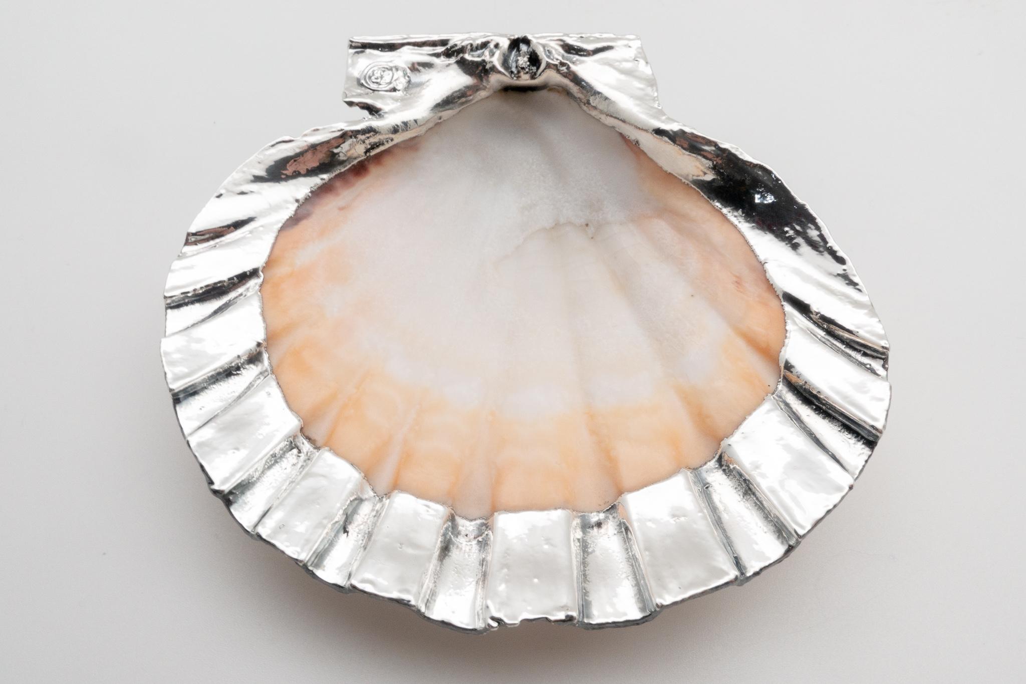 Partially Silvered Pecten Shell- Made in Rome, Italy  1