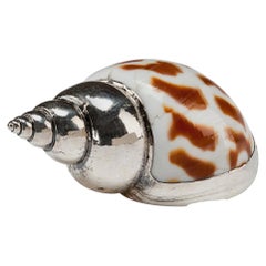 Partially Silvered Sea Shell Arabella