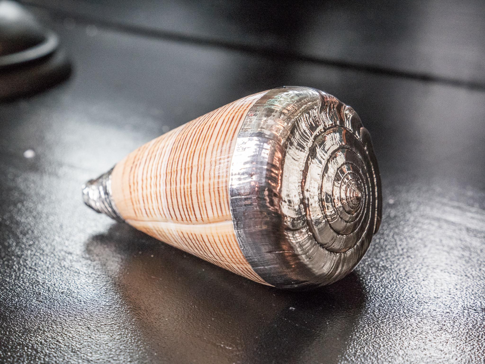 Victorian Partially Silvered Sea Shell Conus Striped