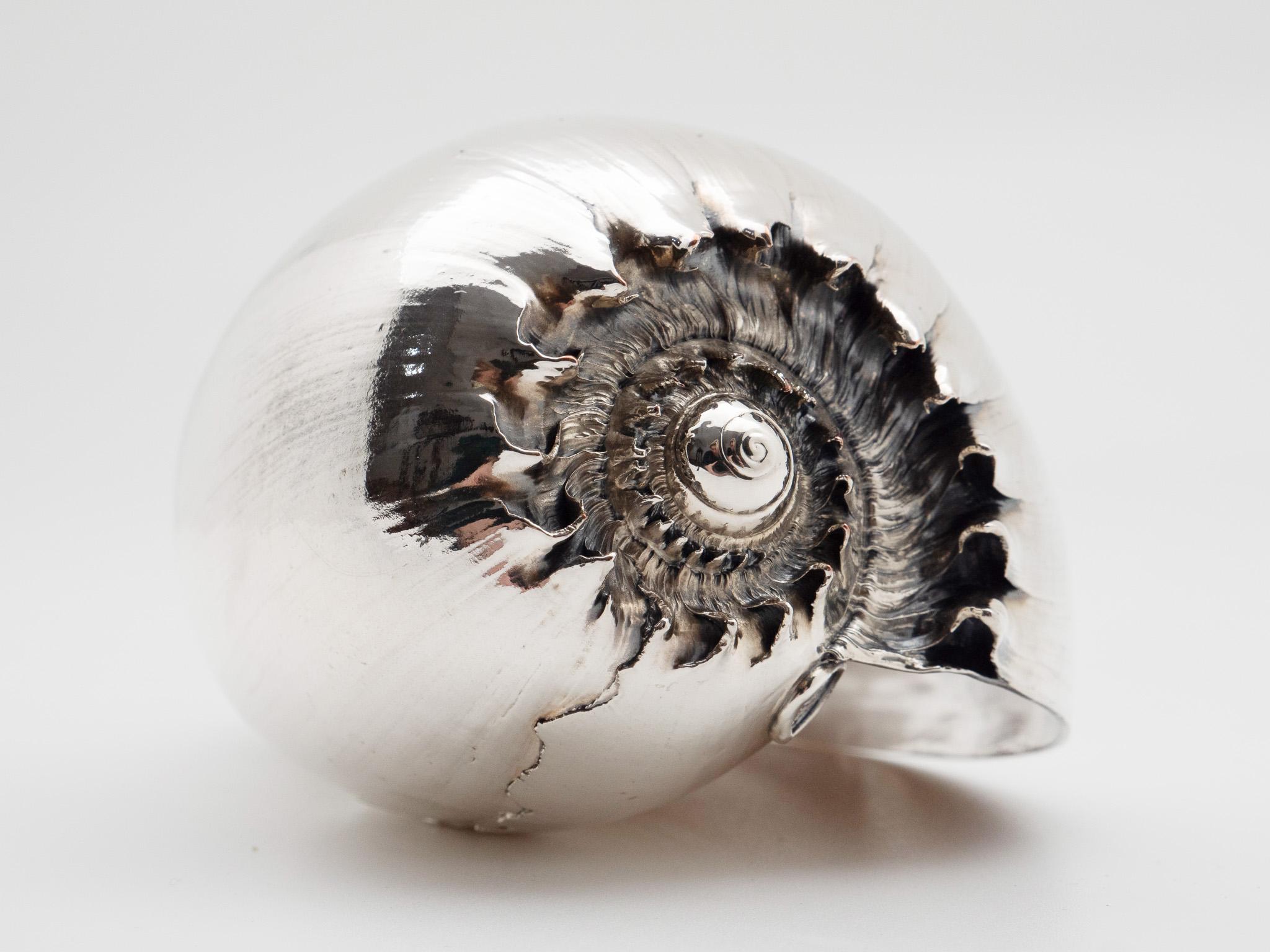 Silvered Sea Shell Cymbiola In Excellent Condition For Sale In New York, NY