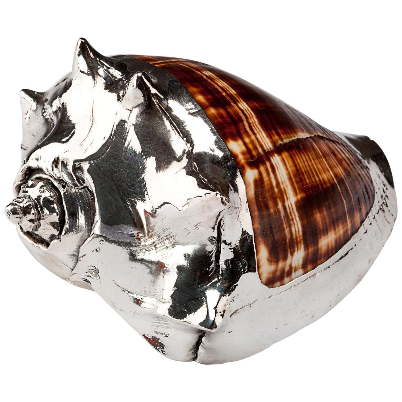 Partially Silvered Sea Shell King's Crown at 1stDibs | kings crown ...