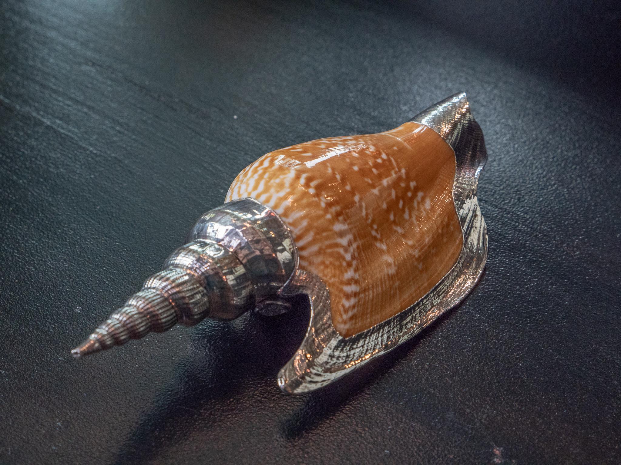 Italian Partially Silvered Sea Shell Lister's Conch