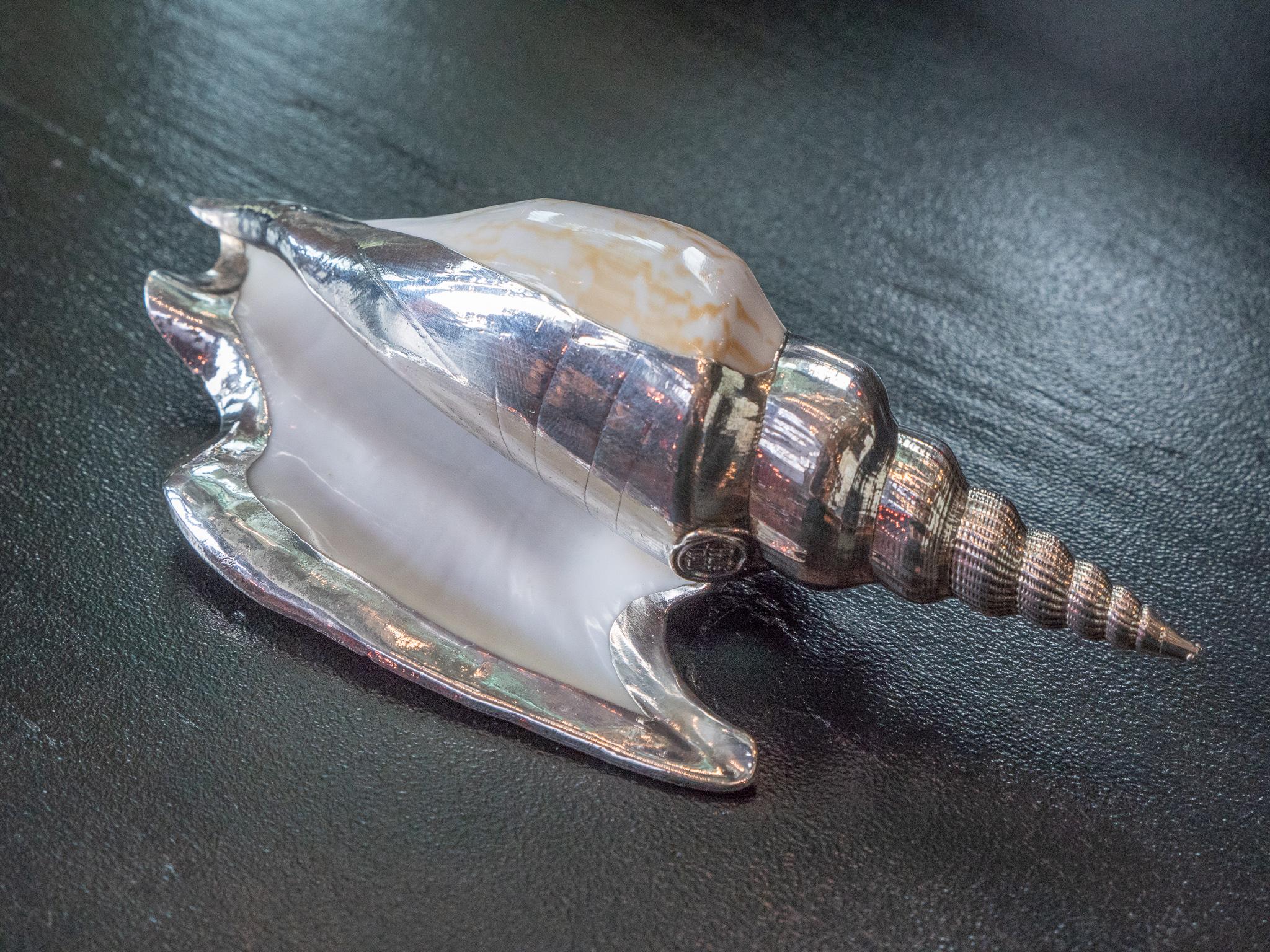Partially Silvered Sea Shell Lister's Conch In Excellent Condition In New York, NY