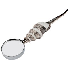 Partially Silvered Sea Shell Magnifying Glass Distaff Spindle