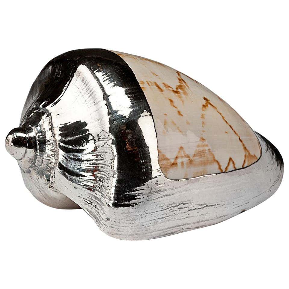 Partially Silvered Sea Shell Scotch Bonnet For Sale at 1stDibs | scotch ...