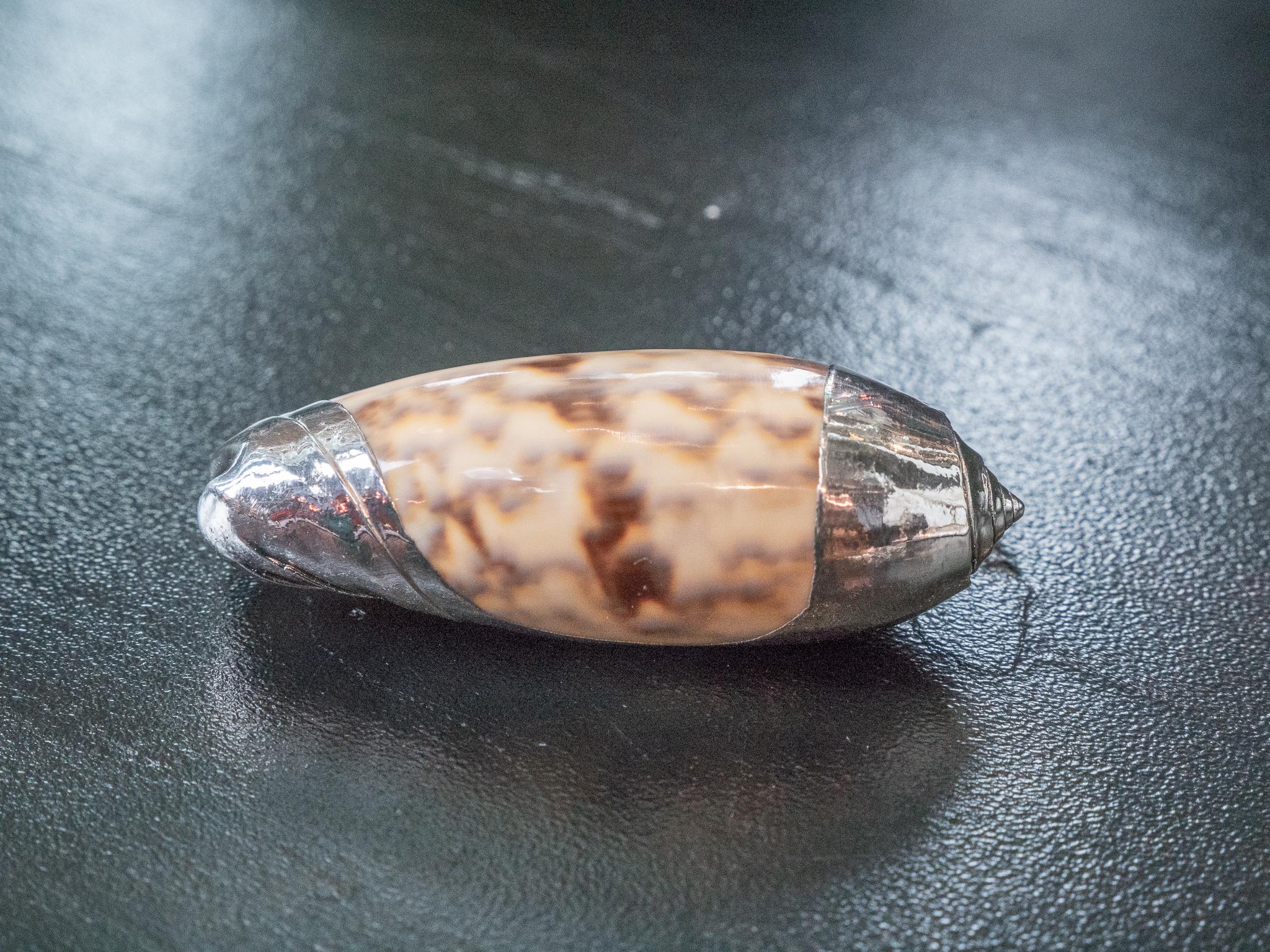 Victorian Partially Silvered Sea Shell Olive For Sale