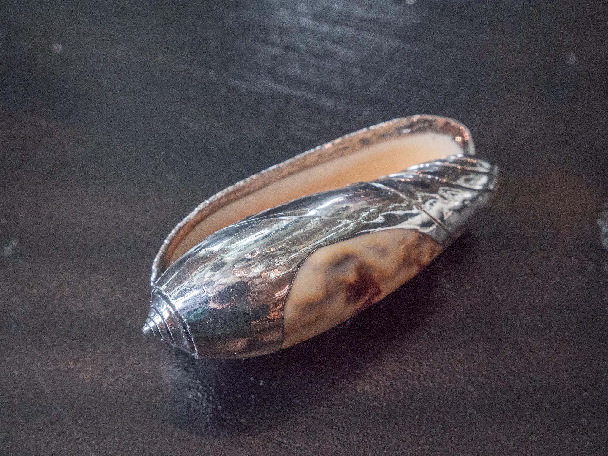 Partially Silvered Sea Shell Olive In Excellent Condition For Sale In New York, NY