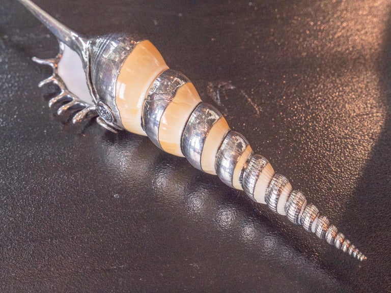 Partially Silvered Sea Shell Tibia Fusus For Sale at 1stDibs