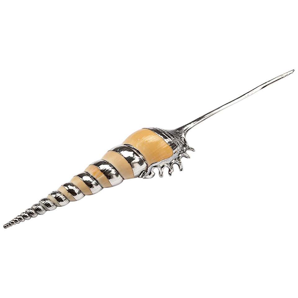 Partially Silvered Sea Shell Tibia Fusus For Sale at 1stDibs